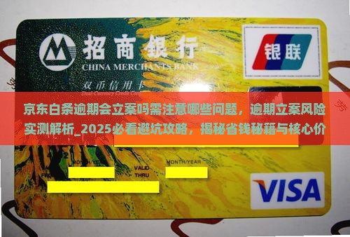 京东白条逾期会立案吗需注意哪些问题