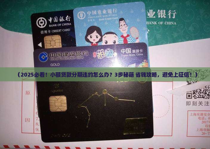 小额贷款分期违约怎么处理