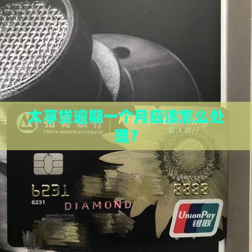 太享贷逾期一个月应该怎么处理