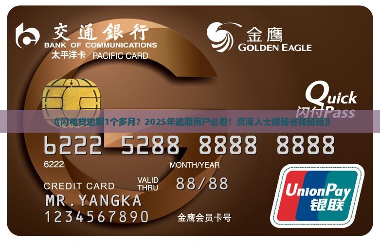 闪电贷逾期1个多月