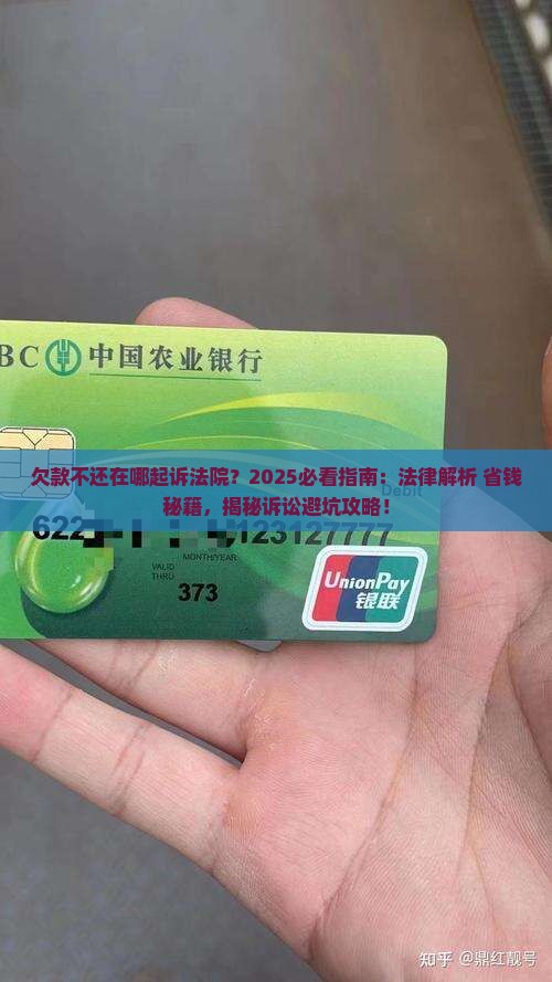 欠款不还在哪起诉法院