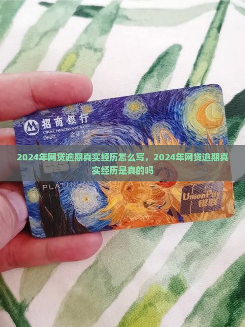 2024年网贷逾期真实经历