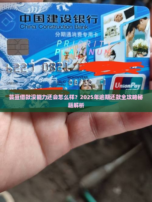芸豆借款没能力还会怎么样 芸豆借款没能力还会怎么样