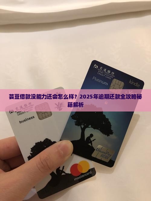 芸豆借款没能力还会怎么样 芸豆借款没能力还会怎么样