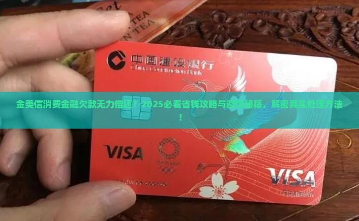 金美信消费金融没能力还如何处理