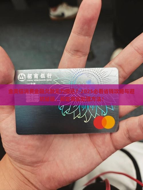 金美信消费金融没能力还如何处理