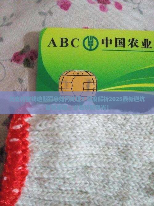 欠支付宝钱逾期罚息应如何处理 欠支付宝钱逾期罚息应如何处理