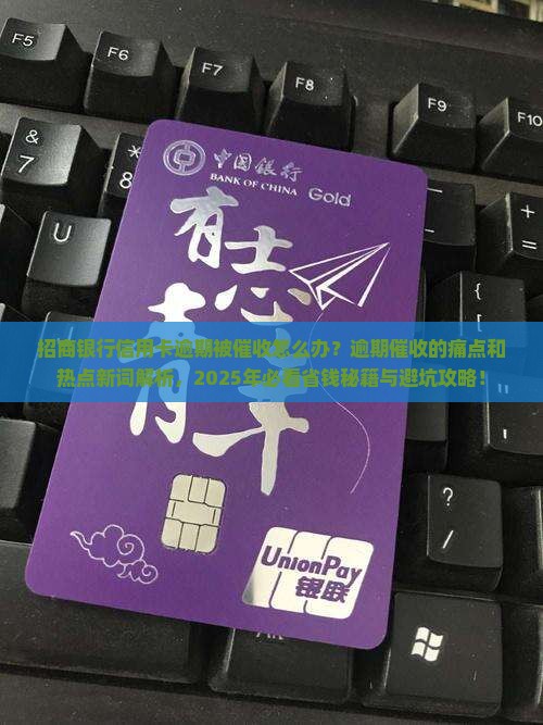 招商银行信用卡逾期被催收怎么办