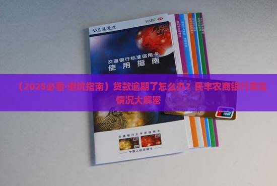 民丰农商银行贷款逾期会怎样应该如何处理
