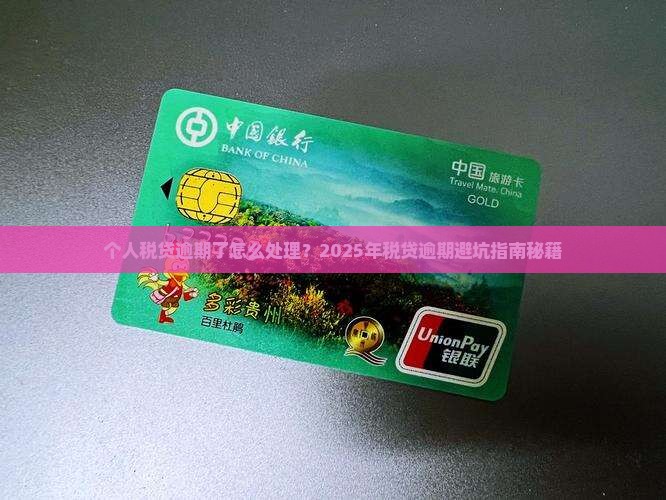 个人税贷逾期了怎么处理