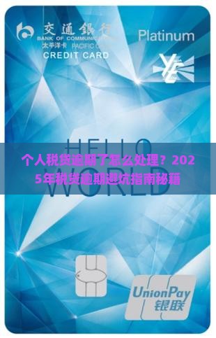 个人税贷逾期了怎么处理