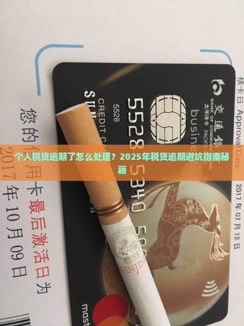 个人税贷逾期了怎么处理