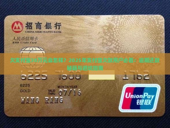 欠支付宝30万元会怎样