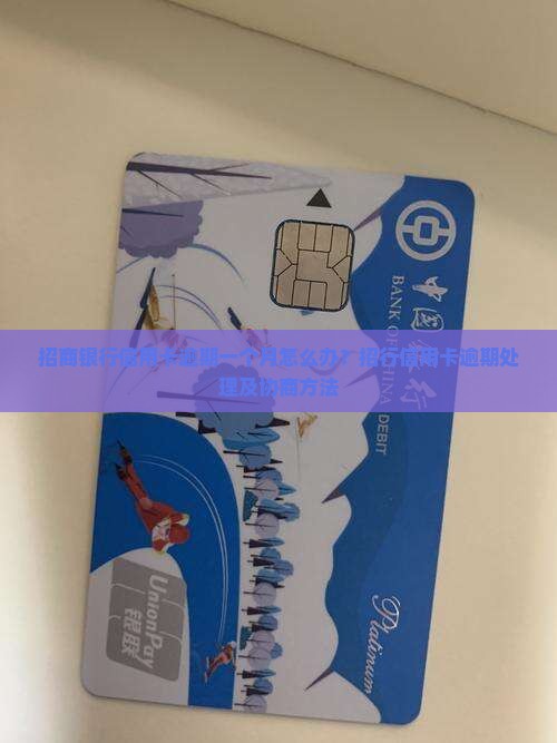 招行逾期一个月怎么办问题解决方案