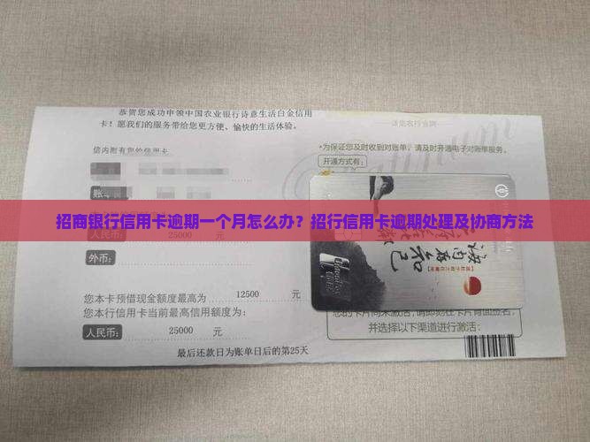 招行逾期一个月怎么办问题解决方案