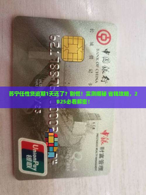 苏宁任性贷逾期1天已经还了如何处理