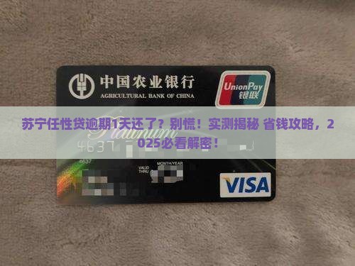 苏宁任性贷逾期1天已经还了如何处理