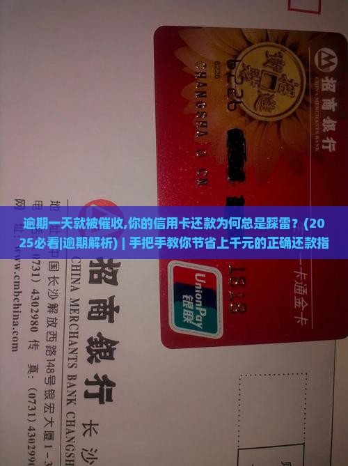 逾期一天就被催收