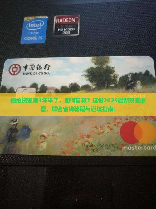拍拍贷逾期3年半了应该怎么处理