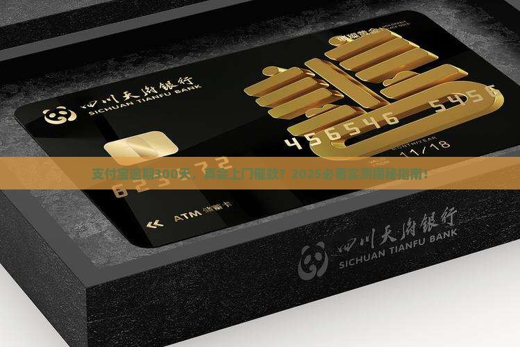 支付宝逾期300天会上门催款吗