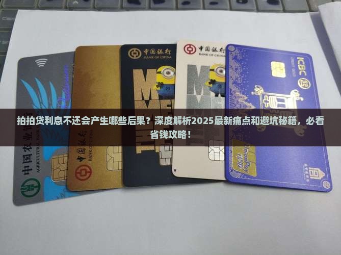 拍拍贷利息不还会产生哪些后果