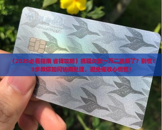 携程欠款一万二逾期如何协商处理