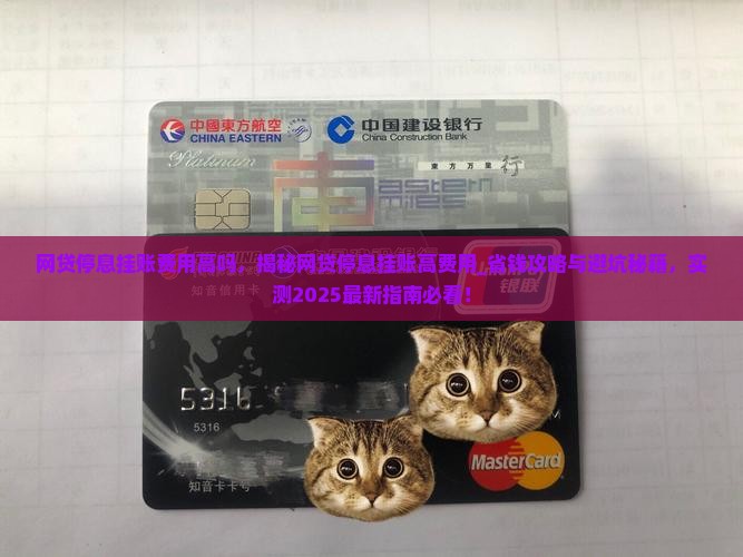网贷停息挂账费用高吗