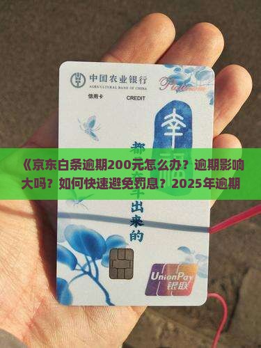 京东白条逾期200应该怎么处理