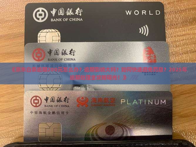 京东白条逾期200应该怎么处理