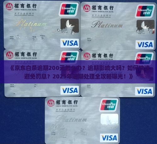 京东白条逾期200应该怎么处理