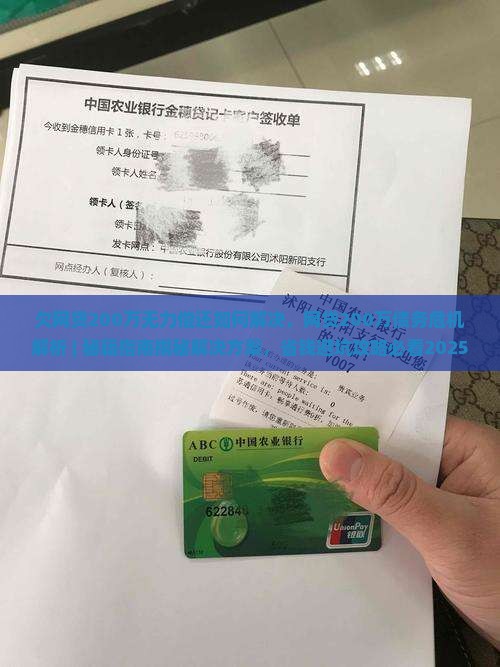 欠网贷200万无力偿还如何解决