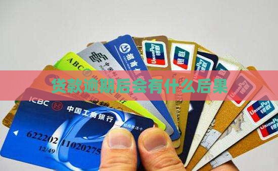 森源贷款逾期后会发生什么