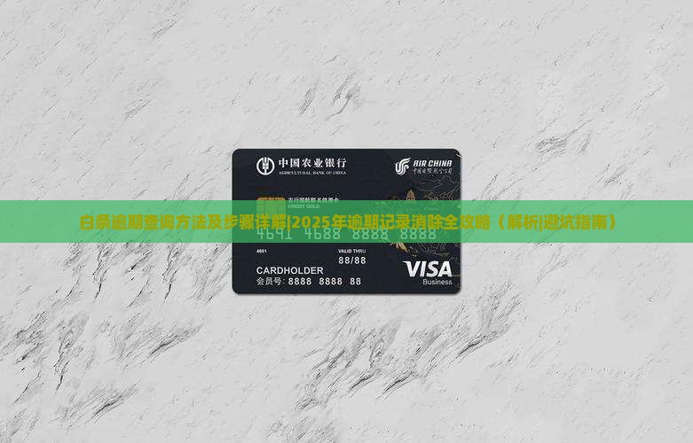 白条逾期查询方法及步骤详解