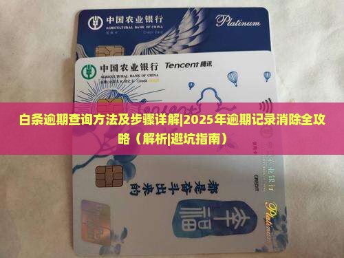 白条逾期查询方法及步骤详解