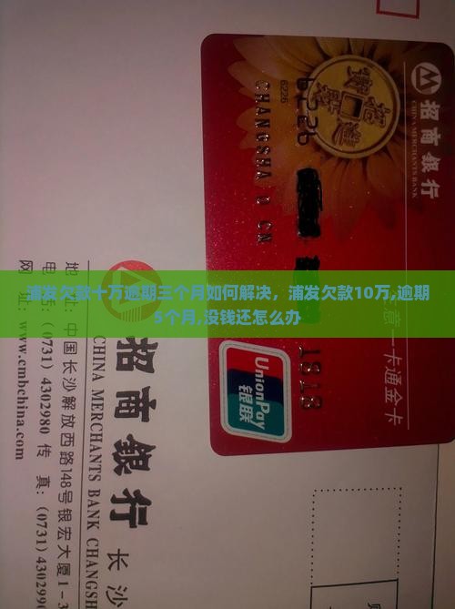 浦发欠款十万逾期三个月如何解决