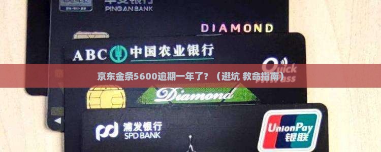 京东金条5600逾期一年怎么办