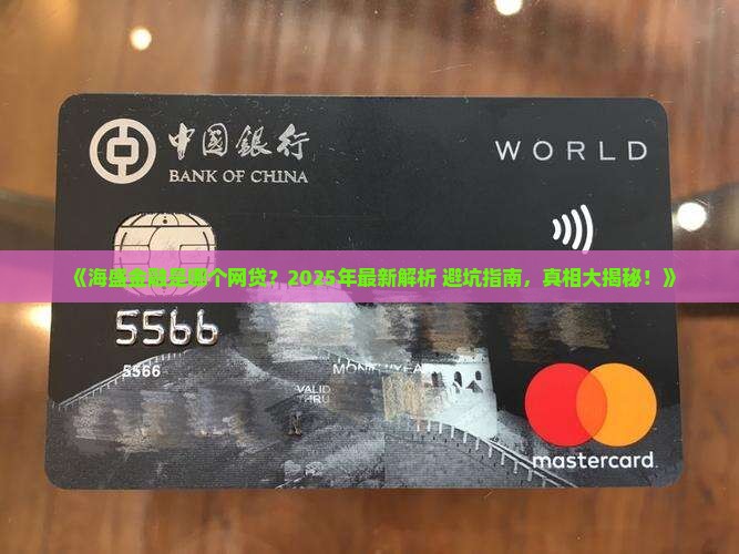 海盛金融是哪个网贷