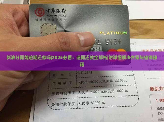 新浪分期能逾期还款吗