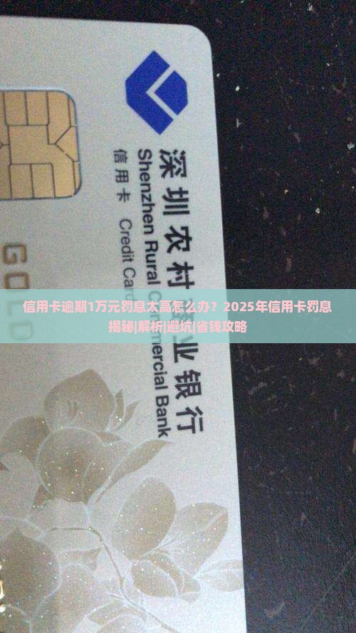 信用卡逾期1万罚息
