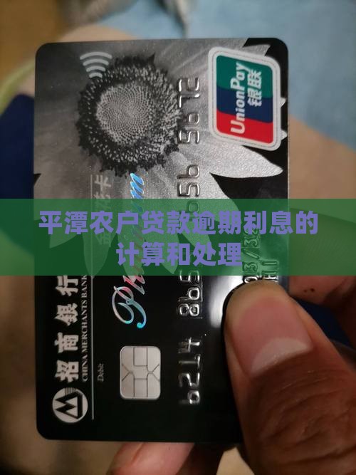 平潭农户贷款逾期利息怎么计算和处理