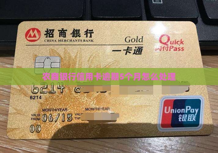 农商银行信用卡逾期5个月怎么处理