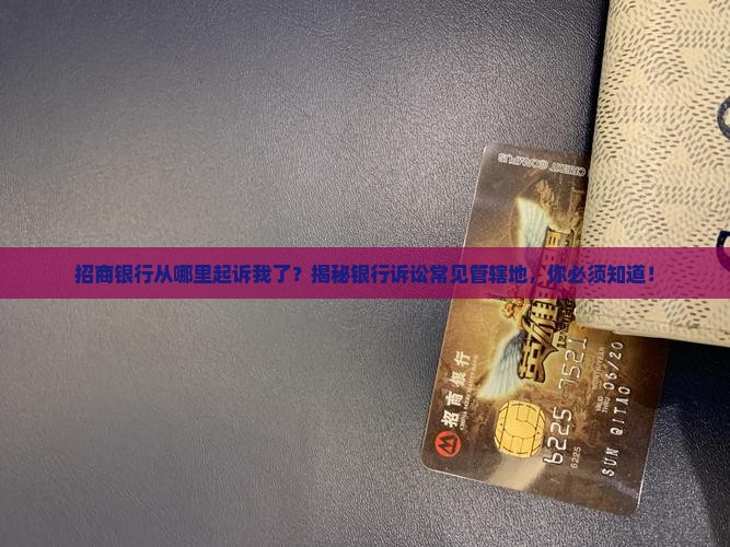 招商银行从哪里起诉我了