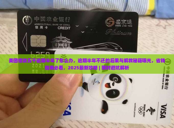 美团借款五千逾期半年了怎么办