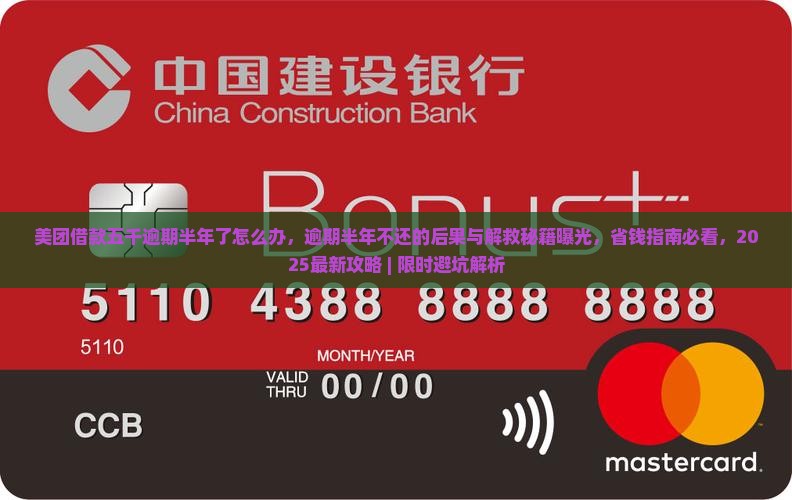 美团借款五千逾期半年了怎么办
