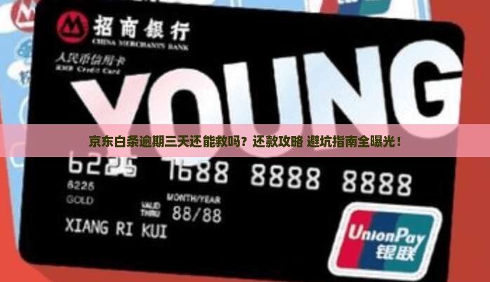 京东白条逾期三天怎么还款有效