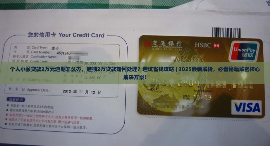 个人小额贷款2万元逾期怎么办