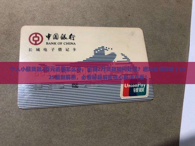 个人小额贷款2万元逾期怎么办