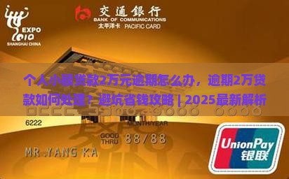 个人小额贷款2万元逾期怎么办
