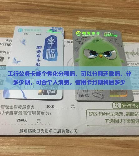 工行公务卡能个性化分期吗