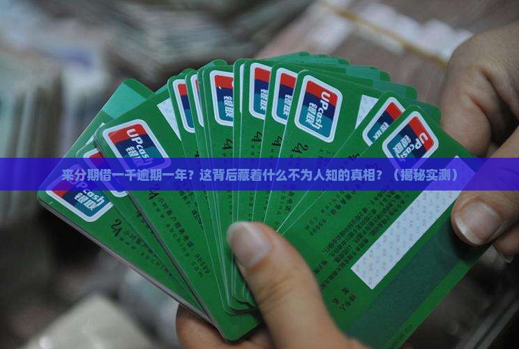 来分期借一千逾期一年
